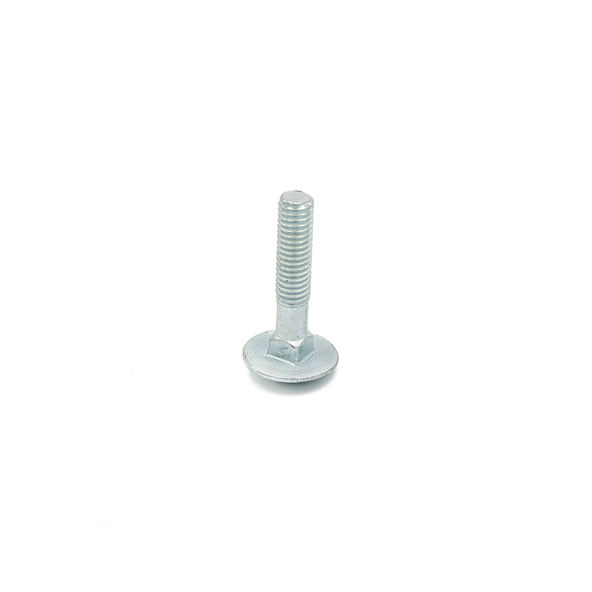 feedback-sports-carriage-bolt-for-sprint-stand-slider-m6x1x30mm image 1